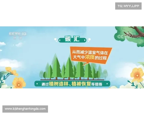 卷帘绿魔的魅力与生态价值全方位剖析及科学养护技巧 卷帘绿魔的魅力与生态价值全方位剖析及科学养护技巧